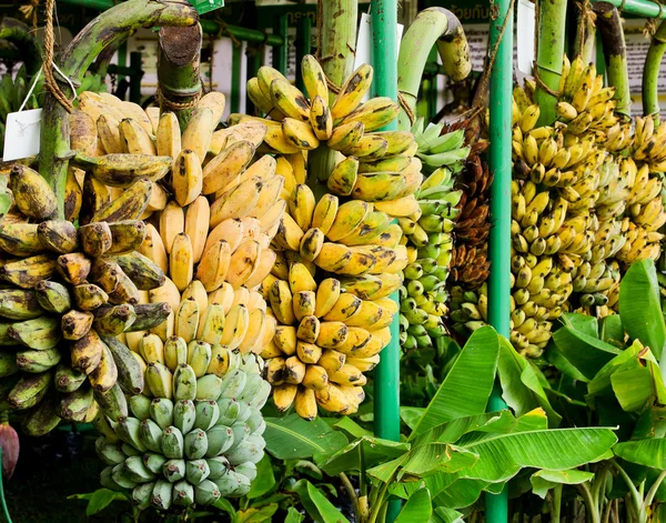 Banana — Stock Photo, Image