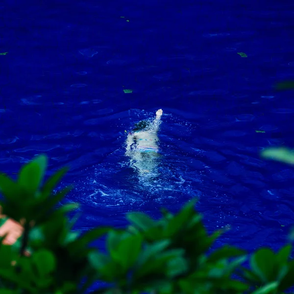 Personnes faisant de l'exercice dans une piscine — Photo