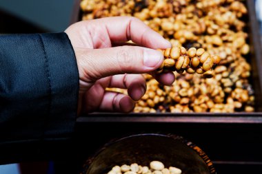 Kahve çekirdekleri dan misk kedisi.