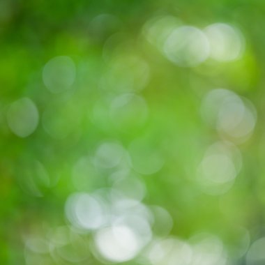 yeşil bokeh soyut ışık arkaplanı