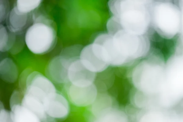 Grön bokeh abstrakt ljus bakgrund — Stockfoto