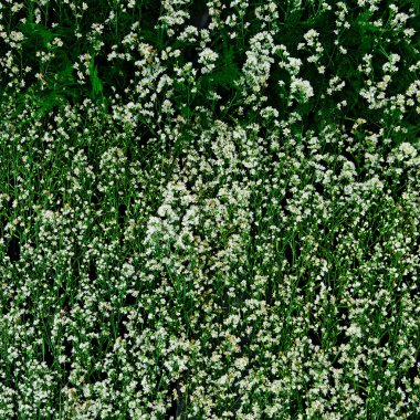 Düğün sahnesi için güzel çiçek arkaplanı