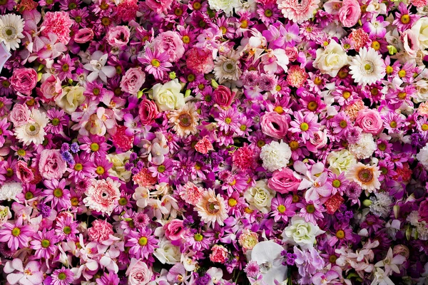 Beau fond de fleurs pour scène de mariage — Photo