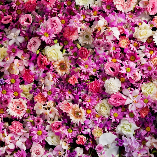 Mooie bloemen achtergrond voor bruiloft scene — Stockfoto