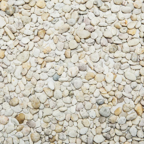 Small naturally polished white rock pebbles background — Stock Photo, Image