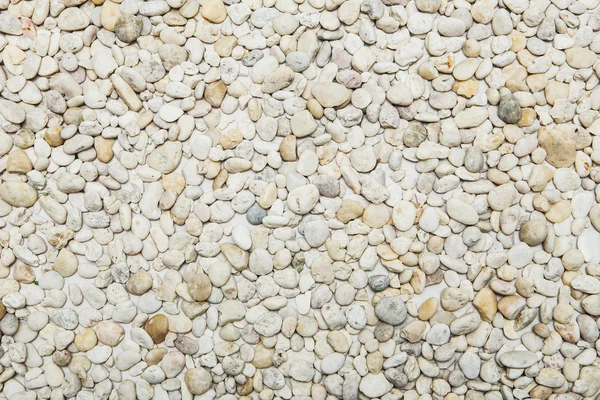 Small naturally polished white rock pebbles background — Stock Photo, Image