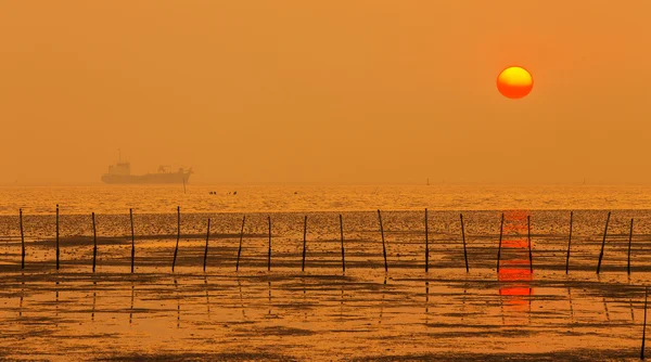 Solen går ned over havet . - Stock-foto