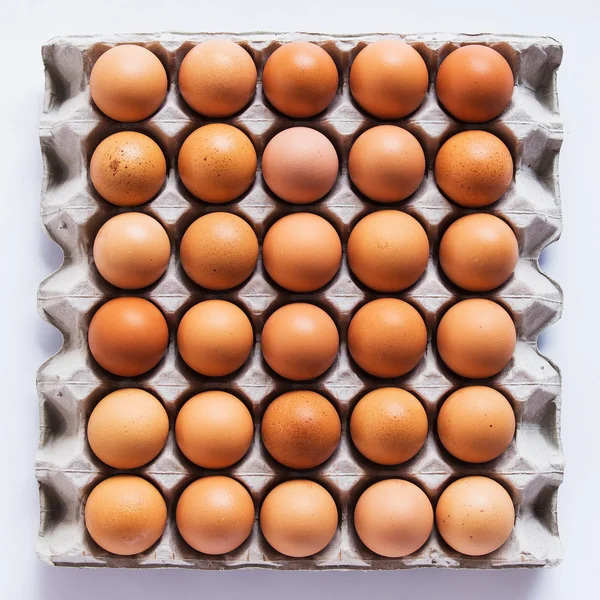 Яйця в панелі — стокове фото