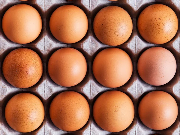 Яйця в панелі — стокове фото