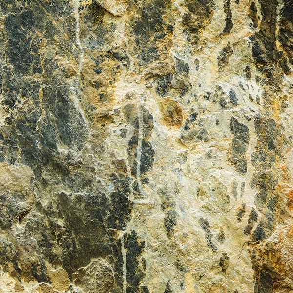 Um close ou macro de uma face de rocha — Fotografia de Stock