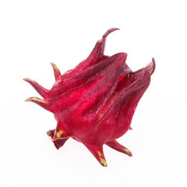Hibiscus sabdariffa veya roselle meyve