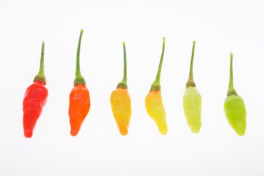 Karen biber sıcak süper