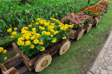 Renkli çiçek bahçeleri.