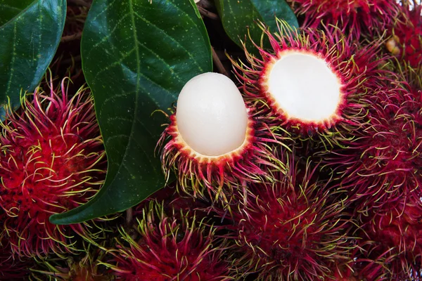 Rambutan frais — Photo