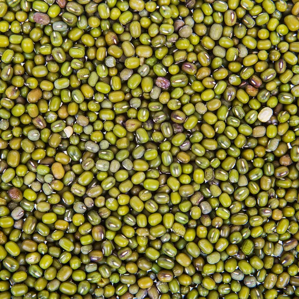 Vigna radiata su sfondo bianco — Foto Stock