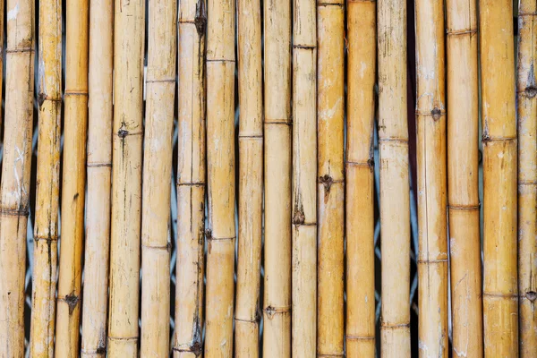 Bamboo fence background — Stock Photo, Image