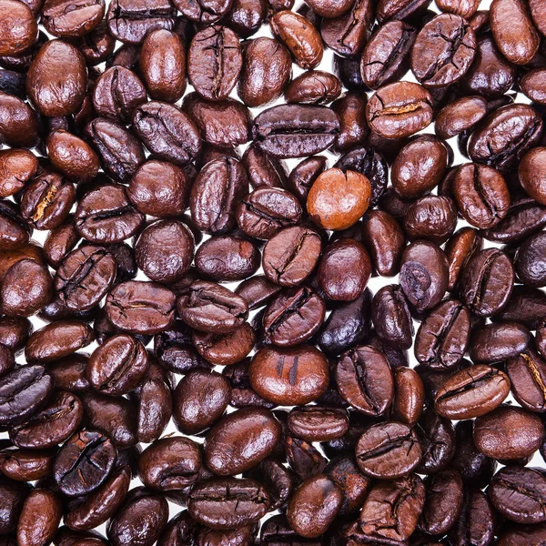 Kaffebönor isolerade på vitt. — Stockfoto