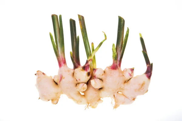 Fresh ginger on a white background. — Stock Photo, Image