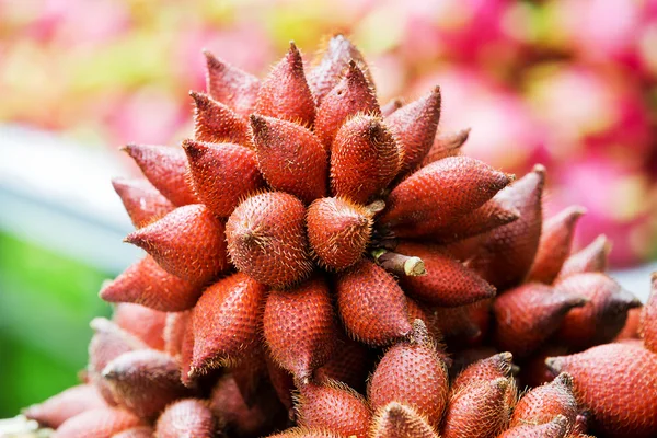 Zalacca fruta tropical — Foto de Stock