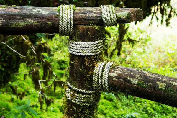 Madera con una cuerda atada . —  Fotos de Stock