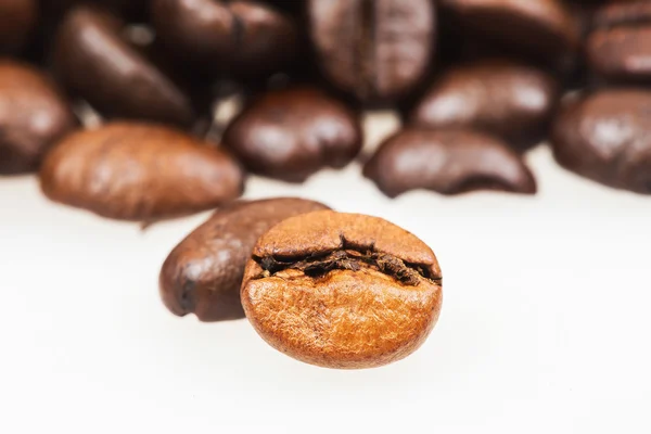 Coffee Bean with white background — Stock Photo, Image