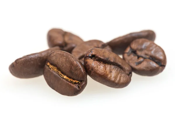 Kaffebönor med vit bakgrund — Stockfoto