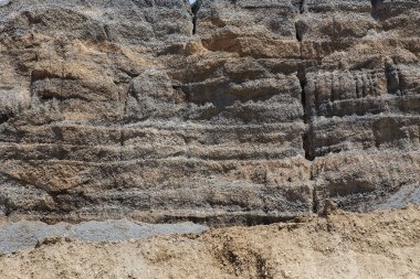 Kömür şeyl katmanda toprak profili