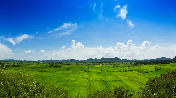 Aerial view of a green rural area under blue sky — Stock Photo, Image