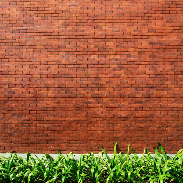 Brick wall background — Stock Photo, Image