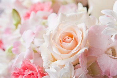 Güzel Çiçekler arka planı