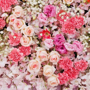 Güzel Çiçekler arka planı