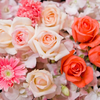 Güzel Çiçekler arka planı