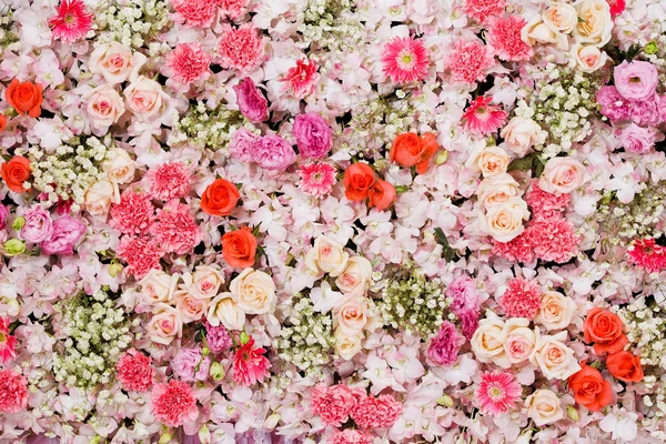 Fondo de flores hermosas —  Fotos de Stock