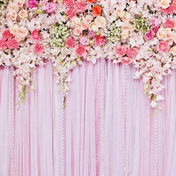 Beautiful flowers background — Stock Photo, Image