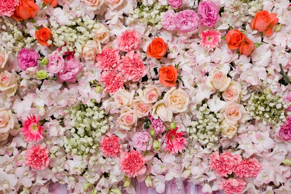 Beautiful flowers background — Stock Photo, Image