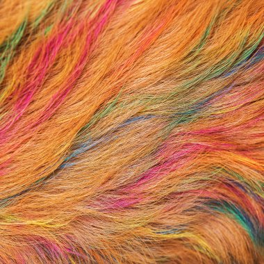 Köpek altın saç boyama güzeldir.