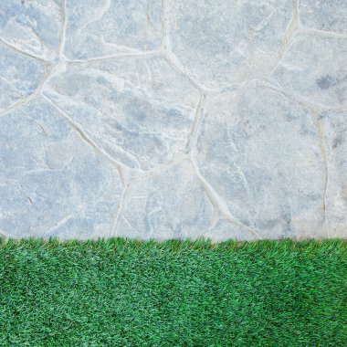 parkta taze bahar yeşil çimen.