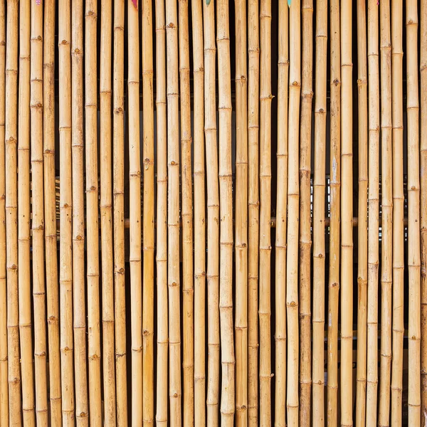 Textura de bambú con patrones naturales —  Fotos de Stock