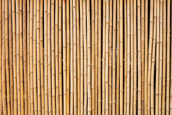 Textura de bambú con patrones naturales — Foto de Stock