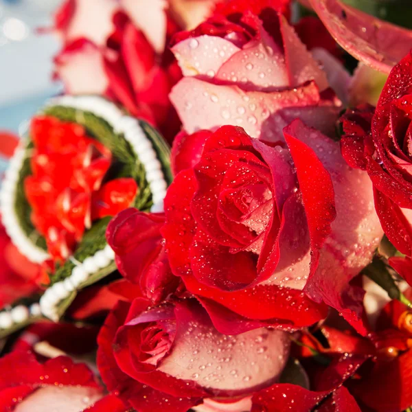 水滴を持つ暗い赤いバラのマクロ画像 — ストック写真