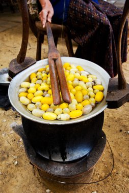 Sarı ipekböceği koza kabuk bira İpek yolu