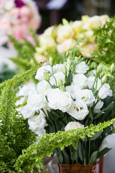 Weiße Blumen in der Vase — Stockfoto