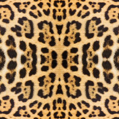 Leopar deri doku arka planı için