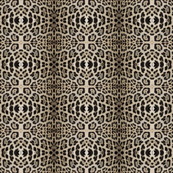 Textura de piel de leopardo para fondo — Foto de Stock