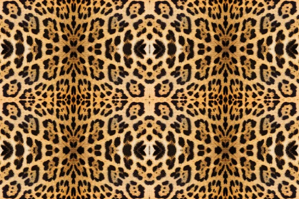 Textura da pele de leopardo para fundo — Fotografia de Stock
