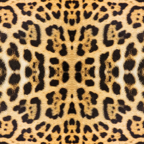 Леопардовая текстура кожи для фона — стоковое фото