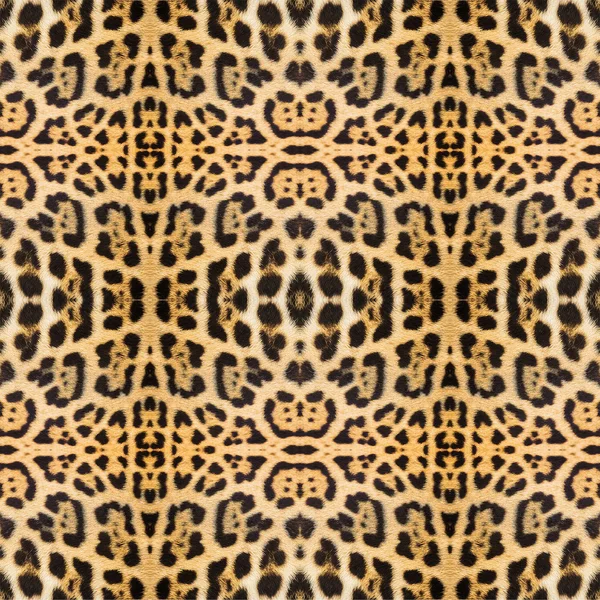 Leopard skin texture for background — Stock Photo, Image