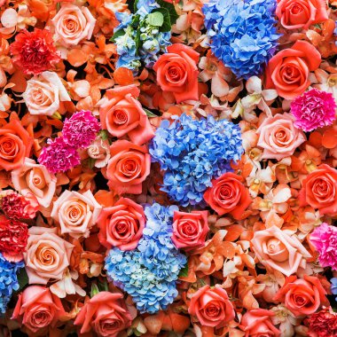 Çiçeklerin soyut arkaplanı. Yakın plan.