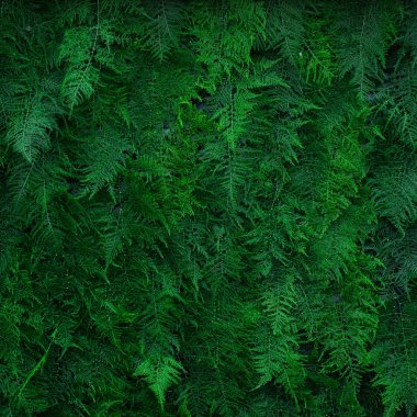 Düğün sahnesi için güzel çiçek arkaplanı
