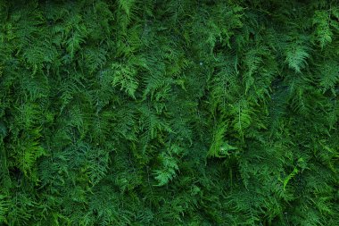 Düğün sahnesi için güzel çiçek arkaplanı